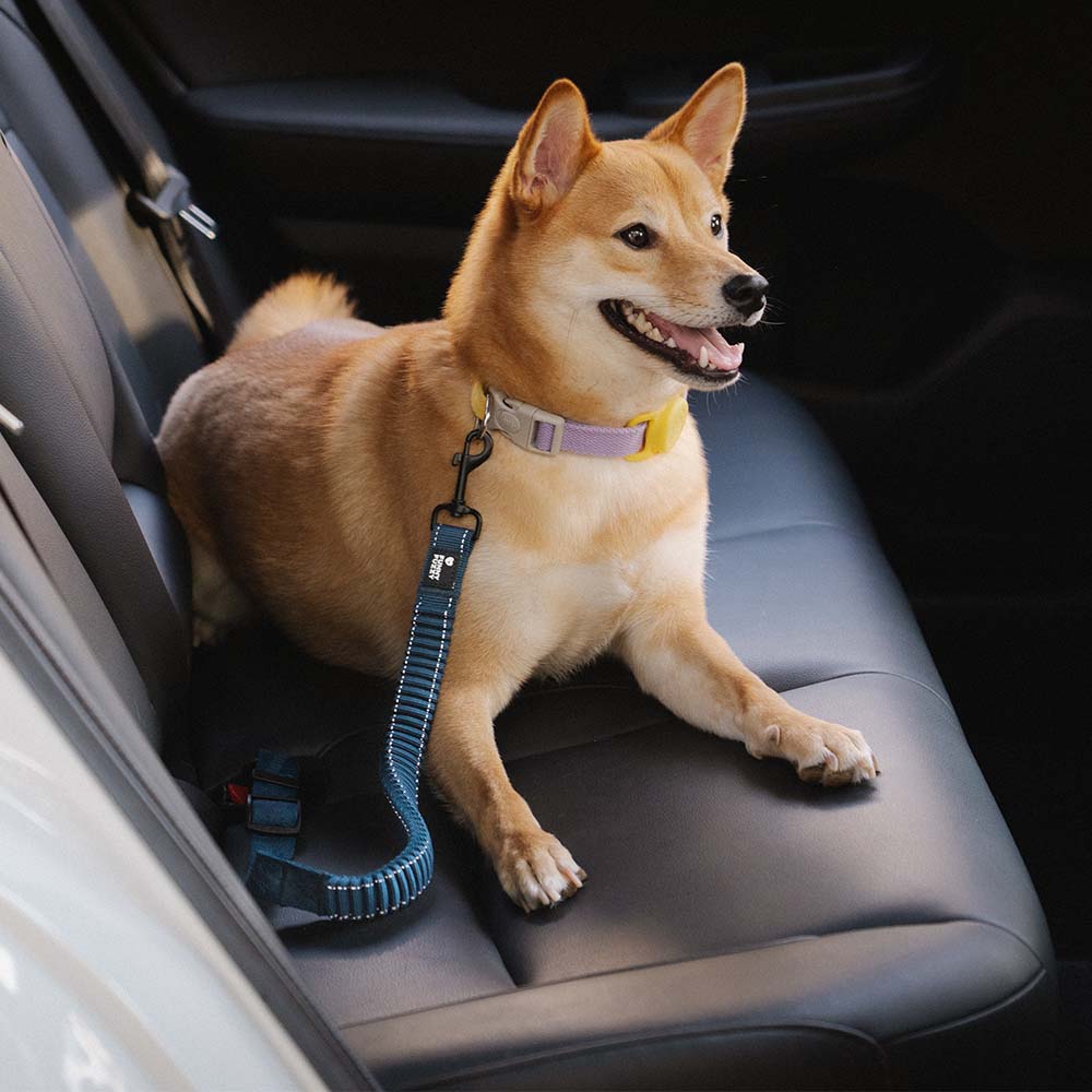 Adjustable Dog Seat Belt for Car Safety