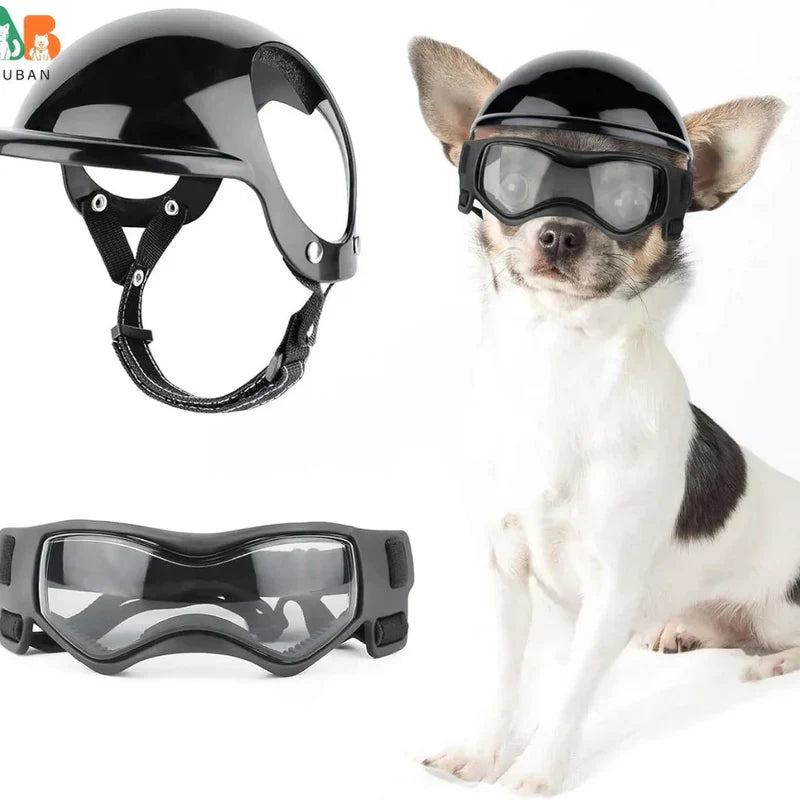 Dog Helmet With Goggles