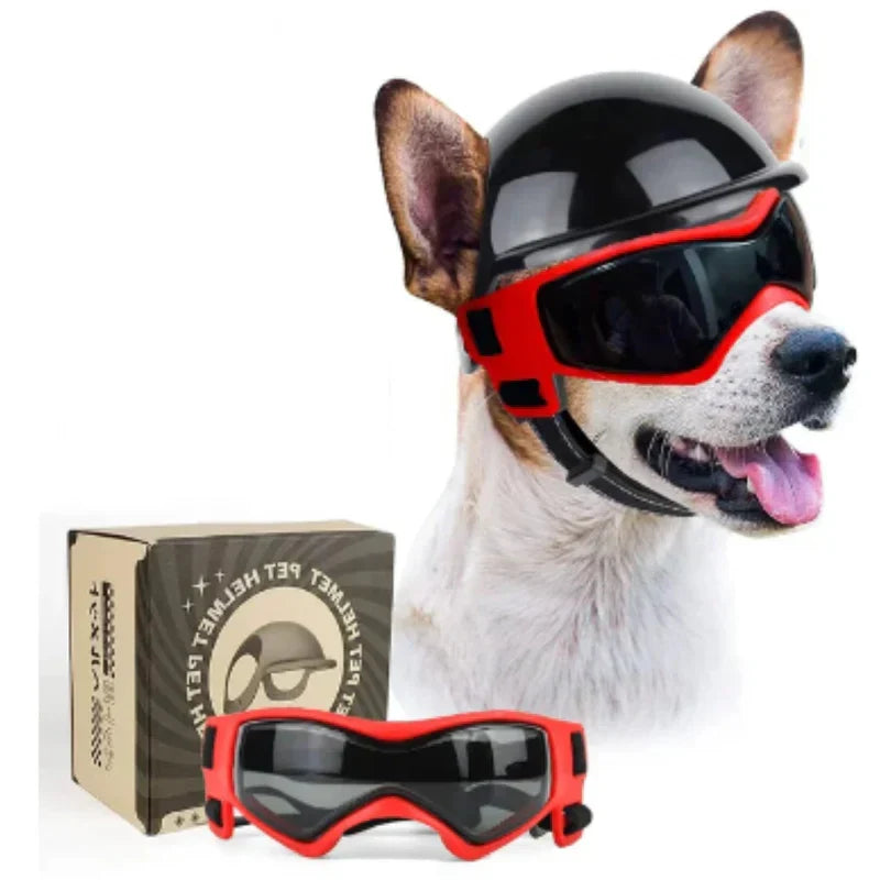 Dog Helmet With Goggles