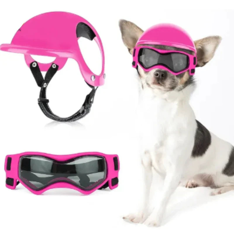 Dog Helmet With Goggles