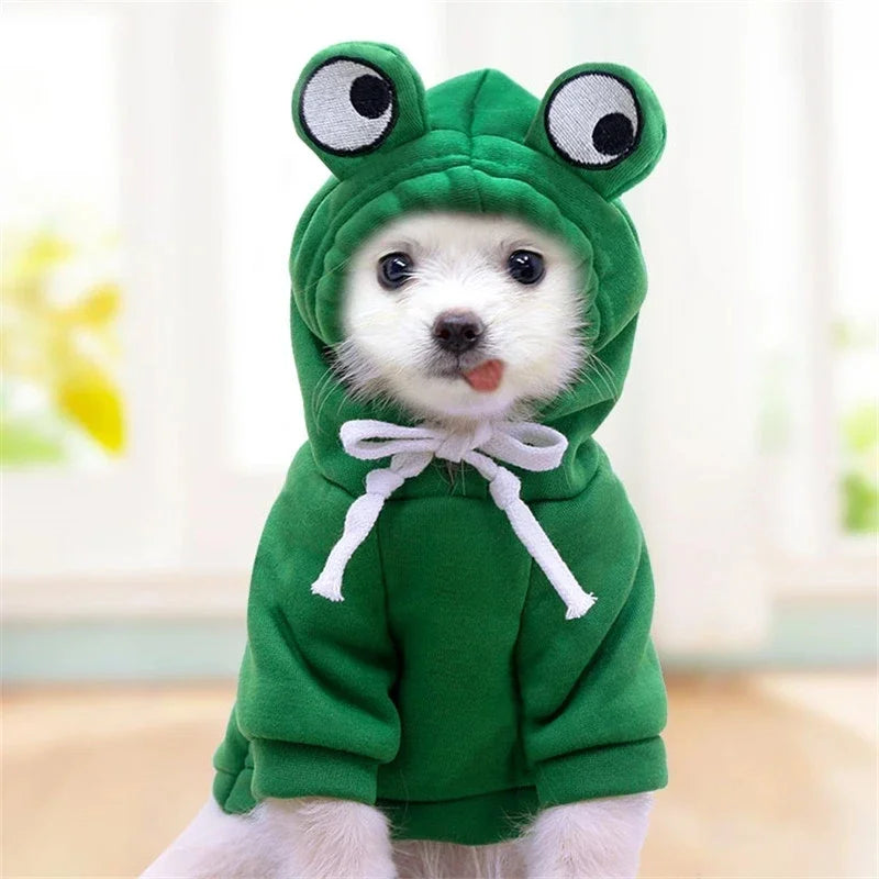 Cute Fruit Dog Hoodie
